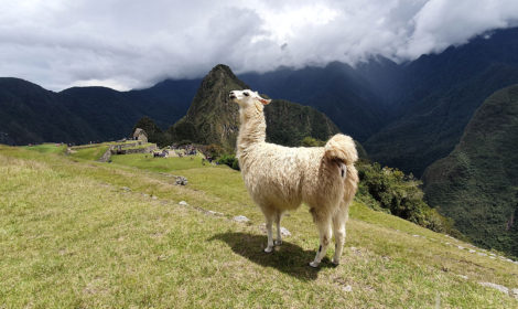 Cusco Cultural & Machu Picchu 5 Days / 4 Nights